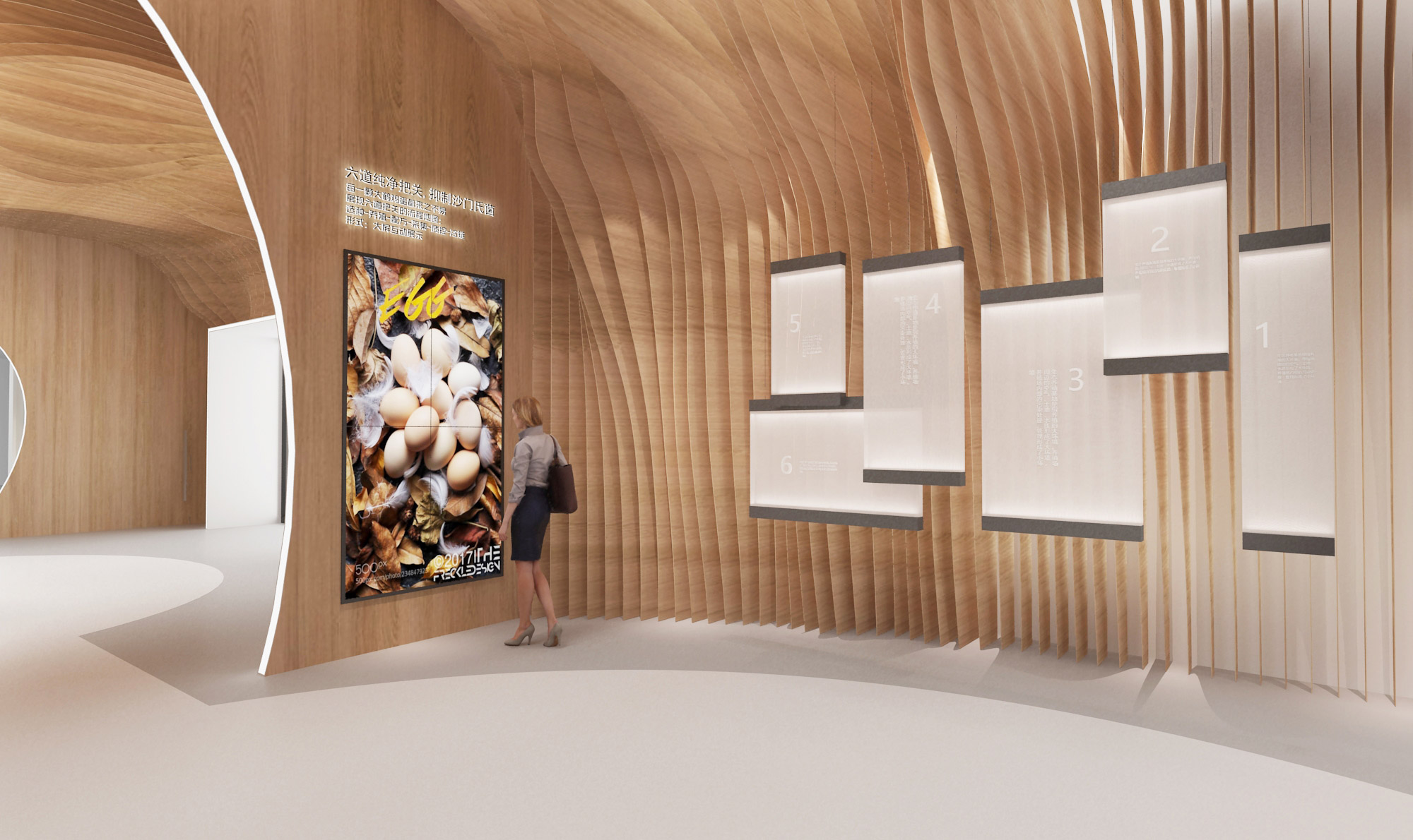 鸡蛋品质展示墙