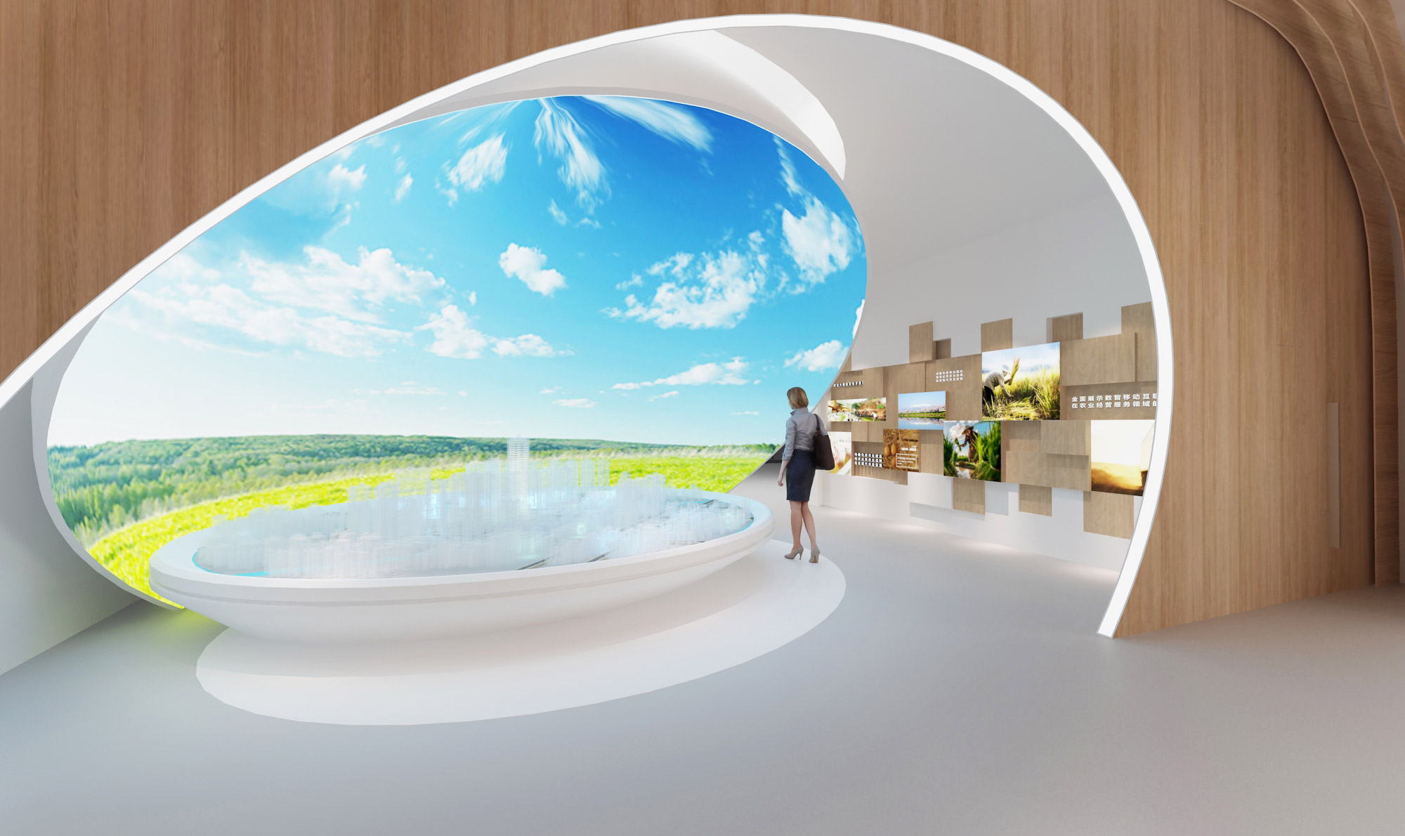 全景视野展示区